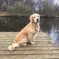 Gloria M.'s profile image