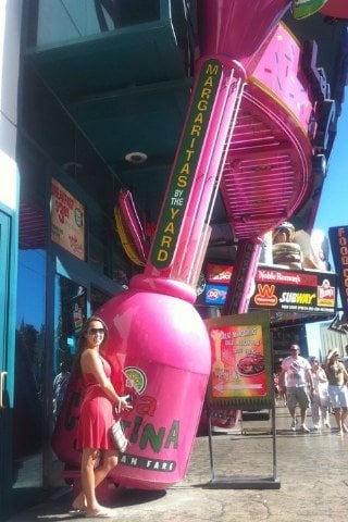 Gloria L.'s profile image