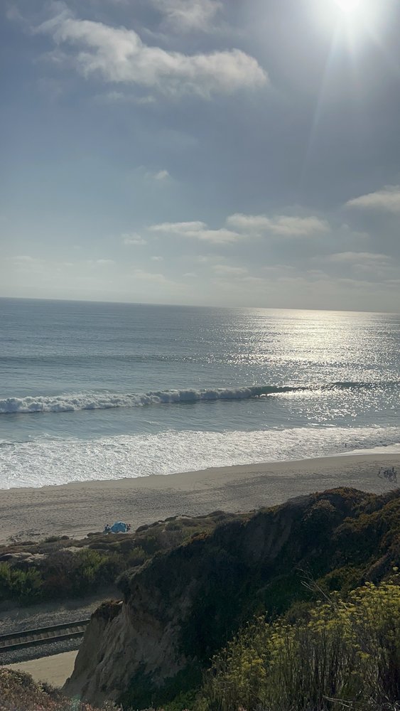 Steve Y.'s profile image