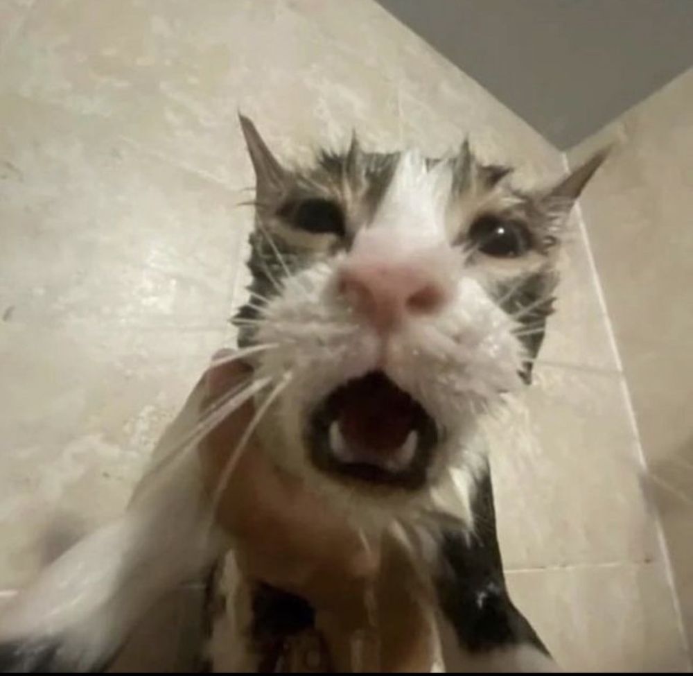 Gabriel M.'s profile image