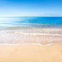 Kelly Remmers's profile image