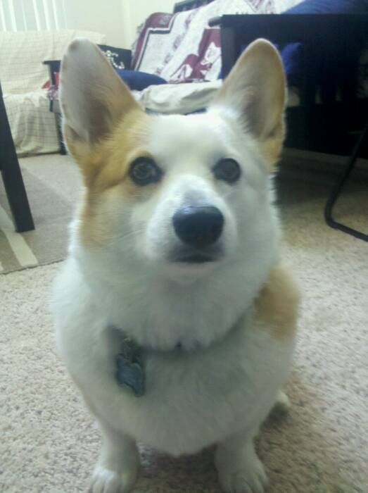 Airamy R.'s profile image