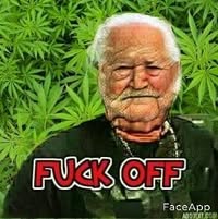 Mayor Roman's profile image