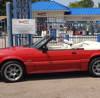 Tony Hassell's profile image