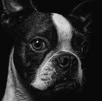 Nathan Hargenrader's profile image