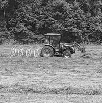 Brandon S Dorsey's profile image