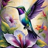 Kim Anderson's profile image