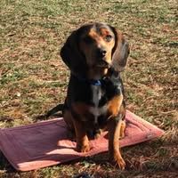 Ted Pryse's profile image