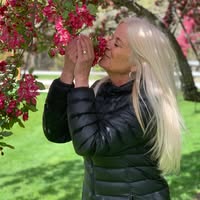 Kim Thompson's profile image