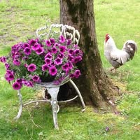 Kathryn Wetzel's profile image