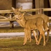 Bill Campbell's profile image