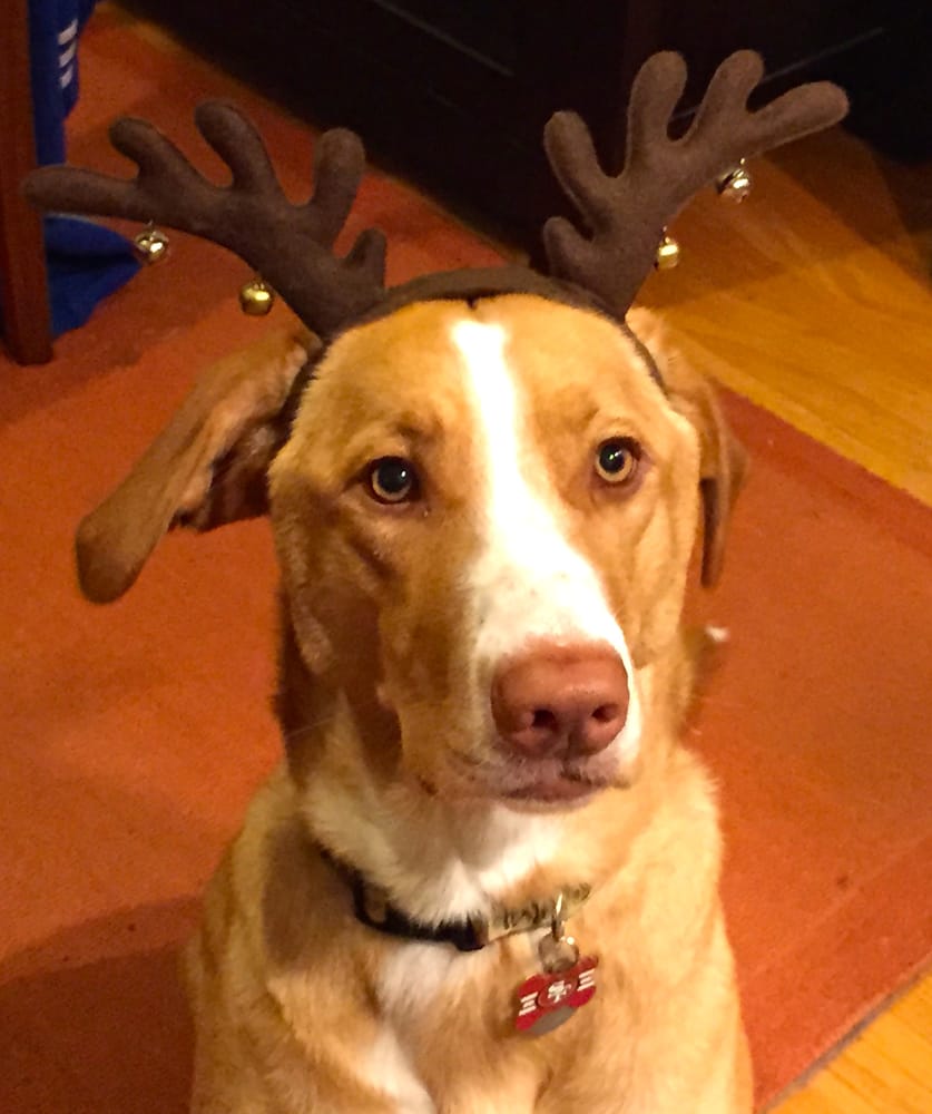 Ellen G.'s profile image