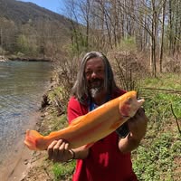 Michael Taylor's profile image