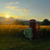 Kit Johnson's profile image