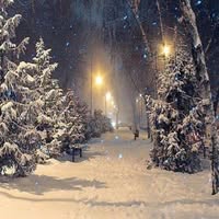 Anissa Tralee's profile image