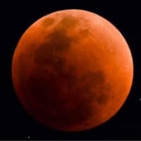 James Hurst's profile image