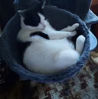 Deborah Misner's profile image