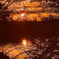 Gail Barnett's profile image