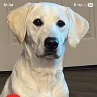 Jane Cade's profile image