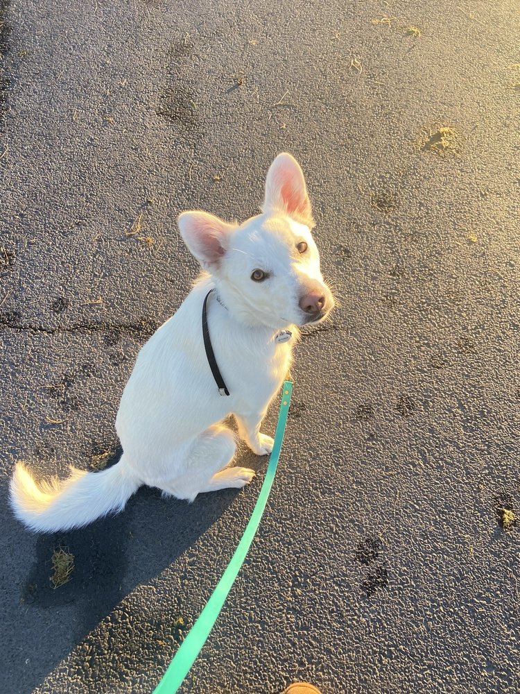 Aj T.'s profile image