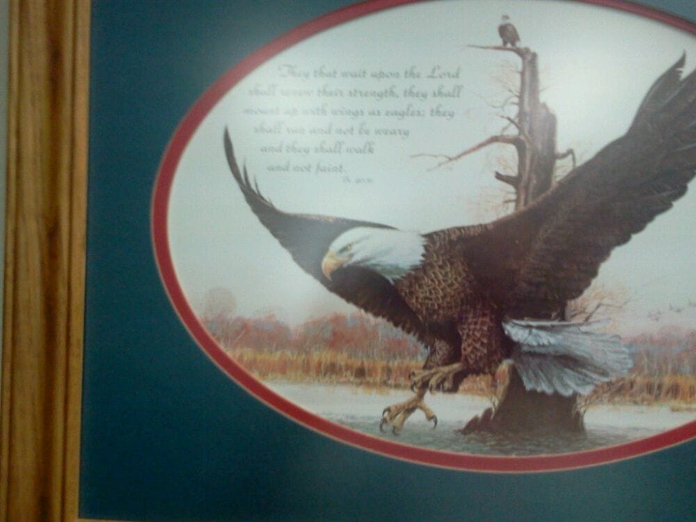 Eatout O.'s profile image