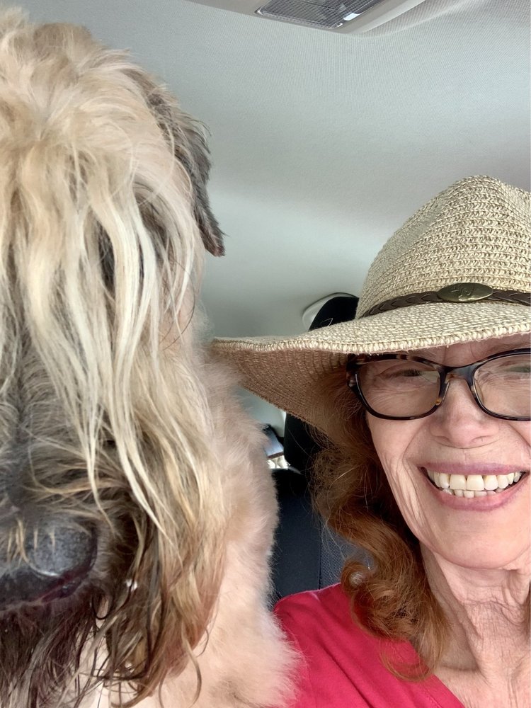 Rosanne L.'s profile image