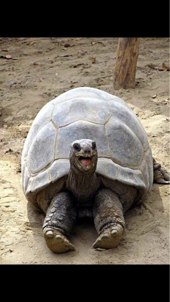 Irene G.'s profile image