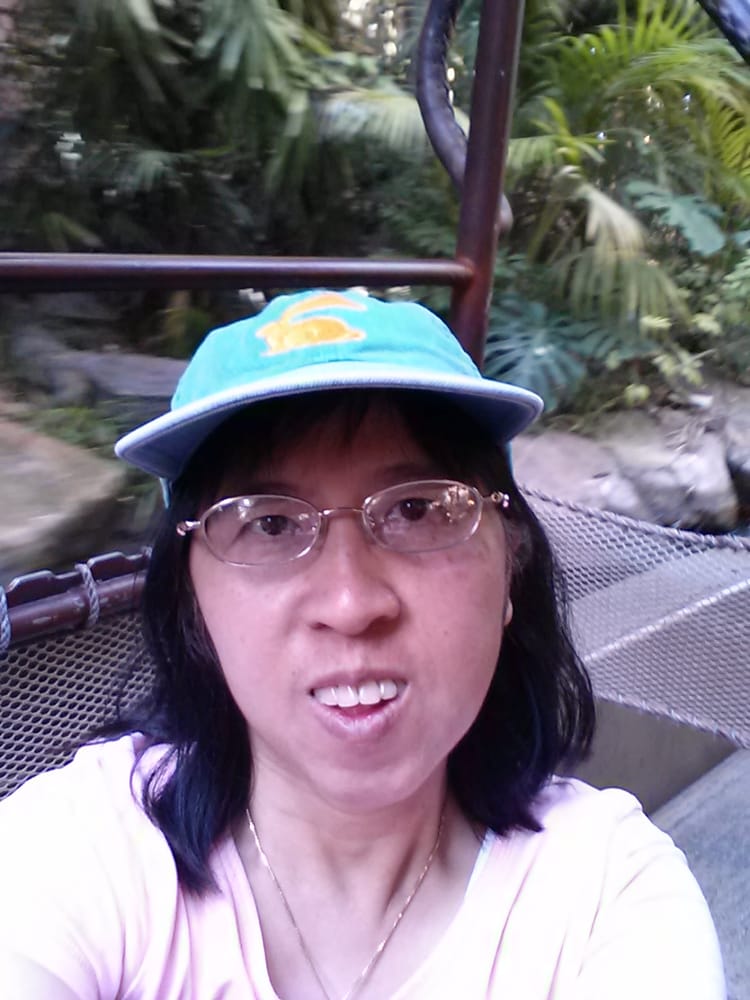 Chi L.'s profile image