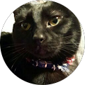 Diane Hensley's Profile Image