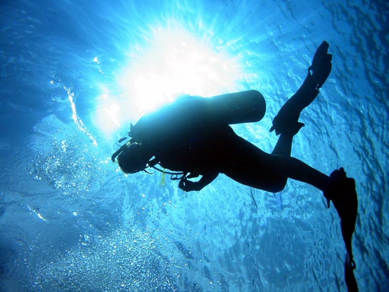 Riley S.'s profile image