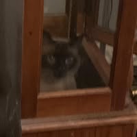 John Bell's profile image