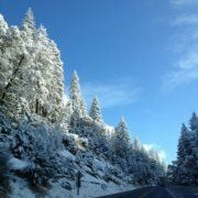 Lala L.'s profile image