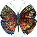 maisha r.