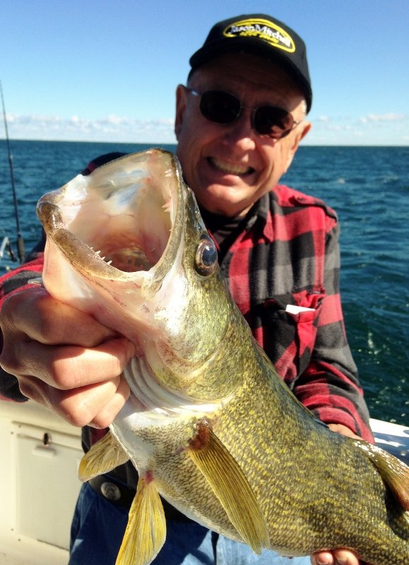 Matt L.'s profile image