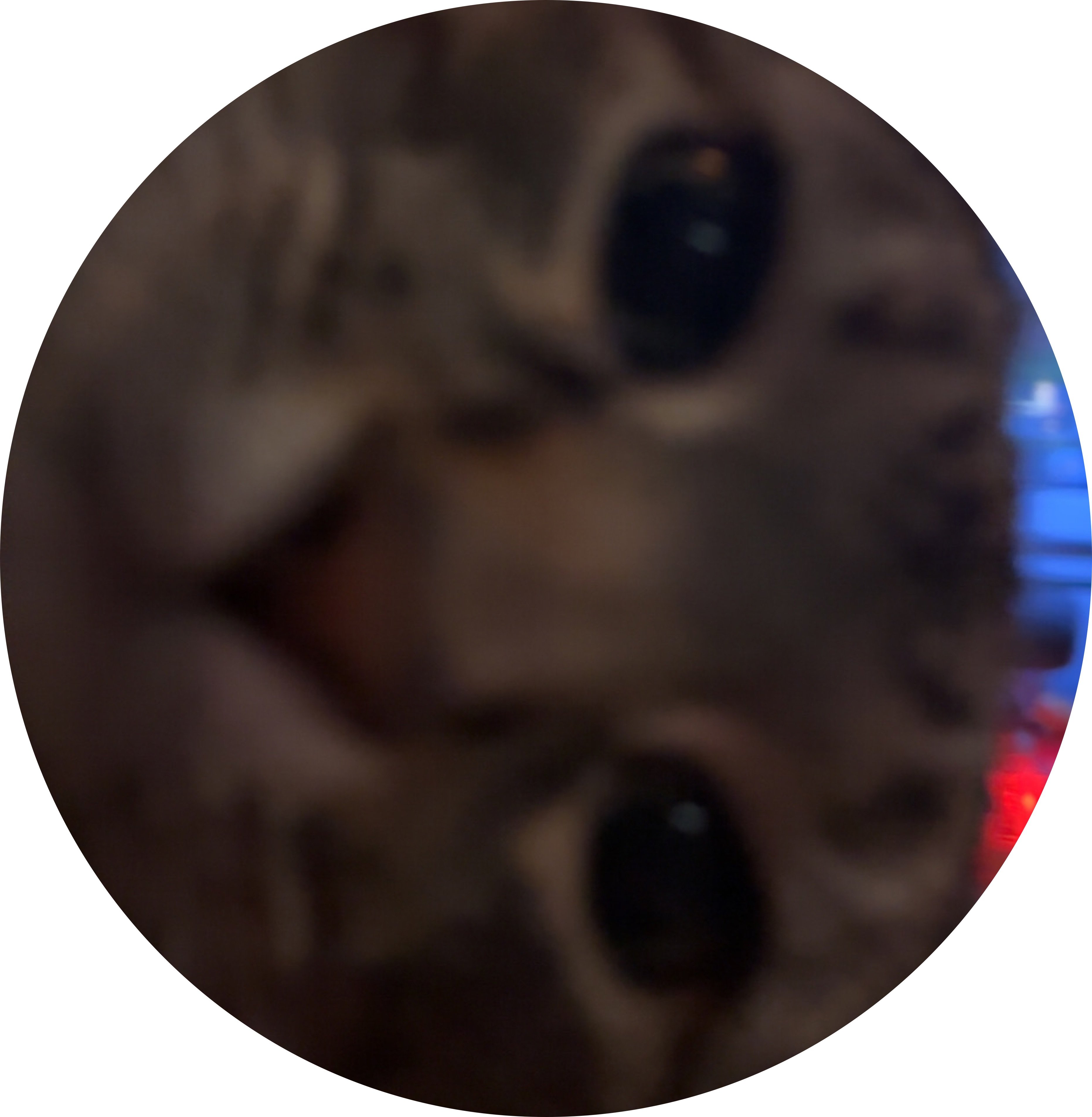 Mikaela G's profile image