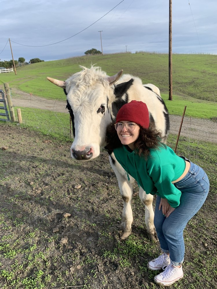 Rebecca W.'s profile image