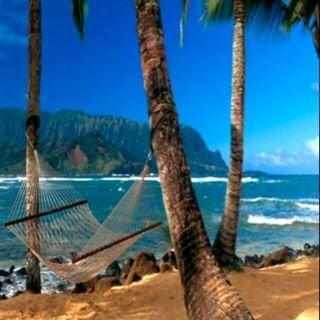 Michelle T.'s profile image