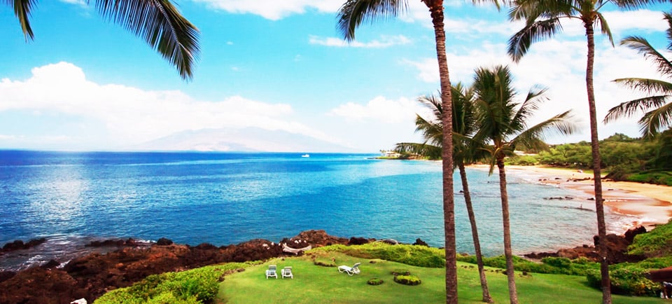 Pam B.'s profile image