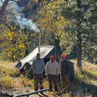 Taylor Kojis's profile image