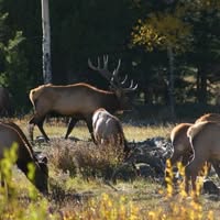 Stacy Jones's profile image