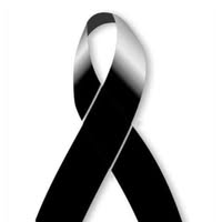 Ae Pasillas's profile image