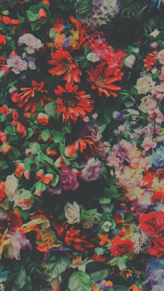 Karina E.'s profile image