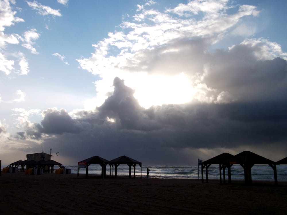 Dani B.'s profile image