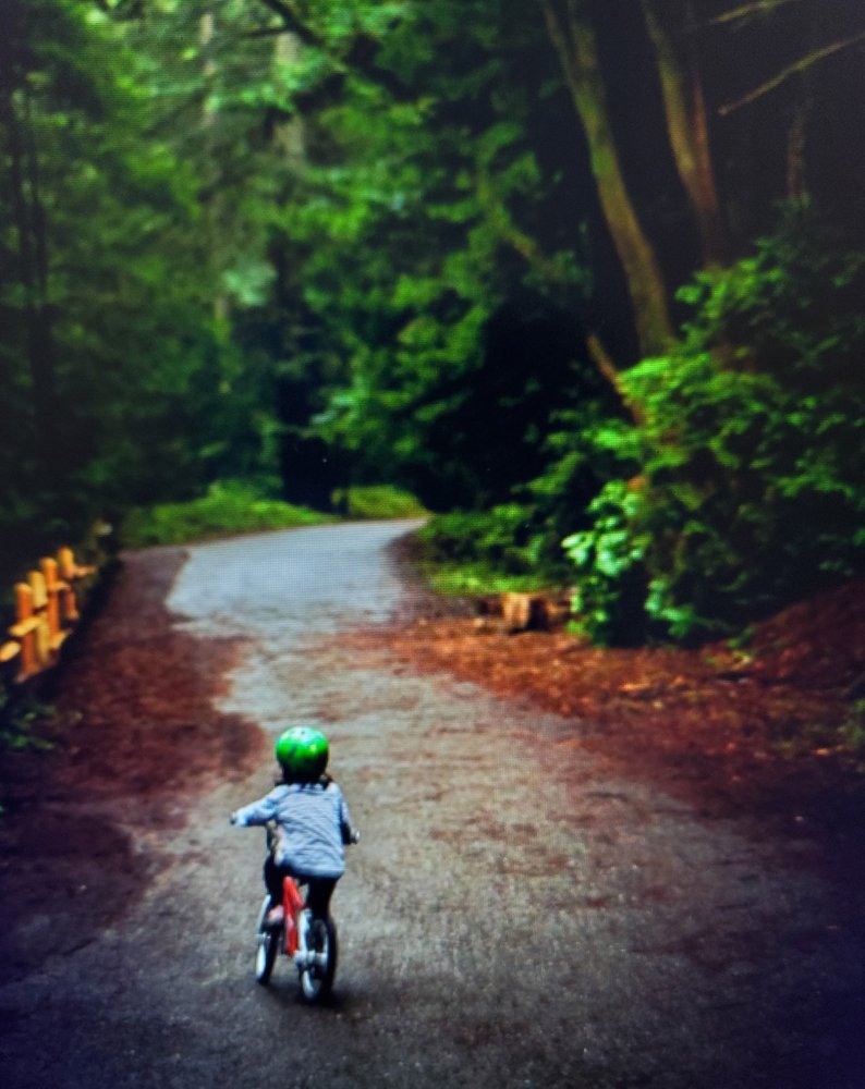 Aya M.'s profile image