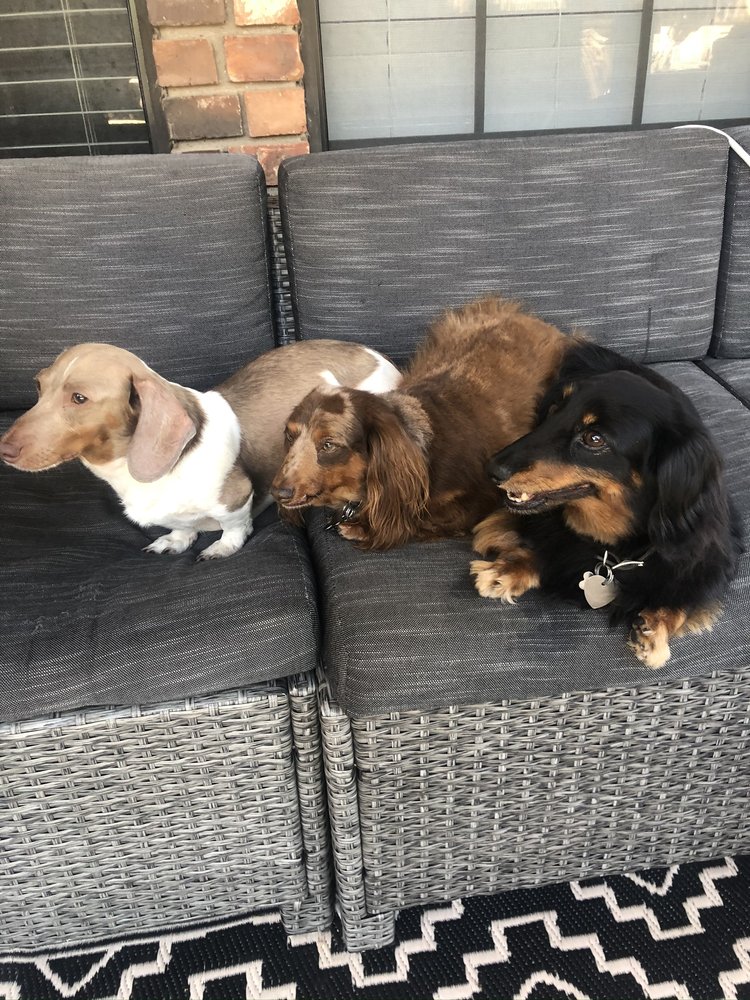 Shannon Y.'s profile image