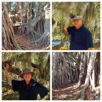 Jane Nicholson Schwartz's profile image