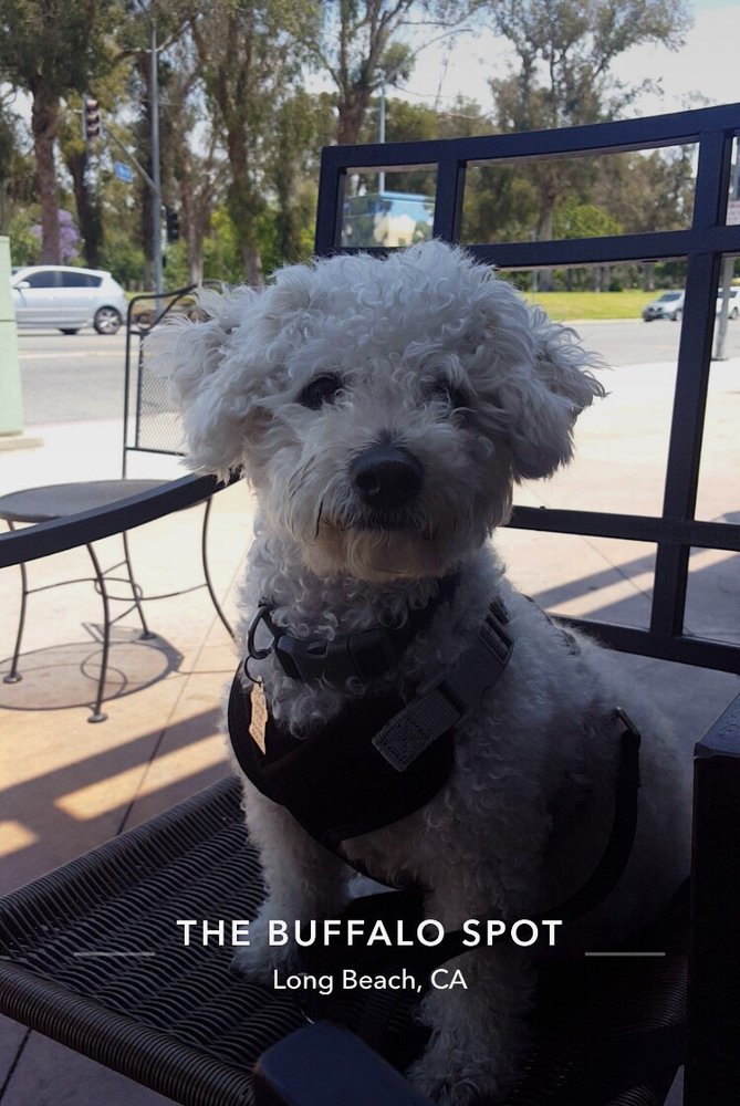 Lucy F.'s profile image