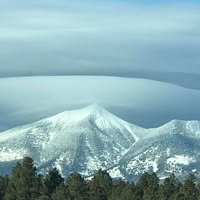 Daniela Téllez's profile image