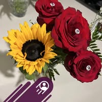 Laura Saldivar's profile image