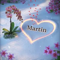 Mtn Hdz's profile image